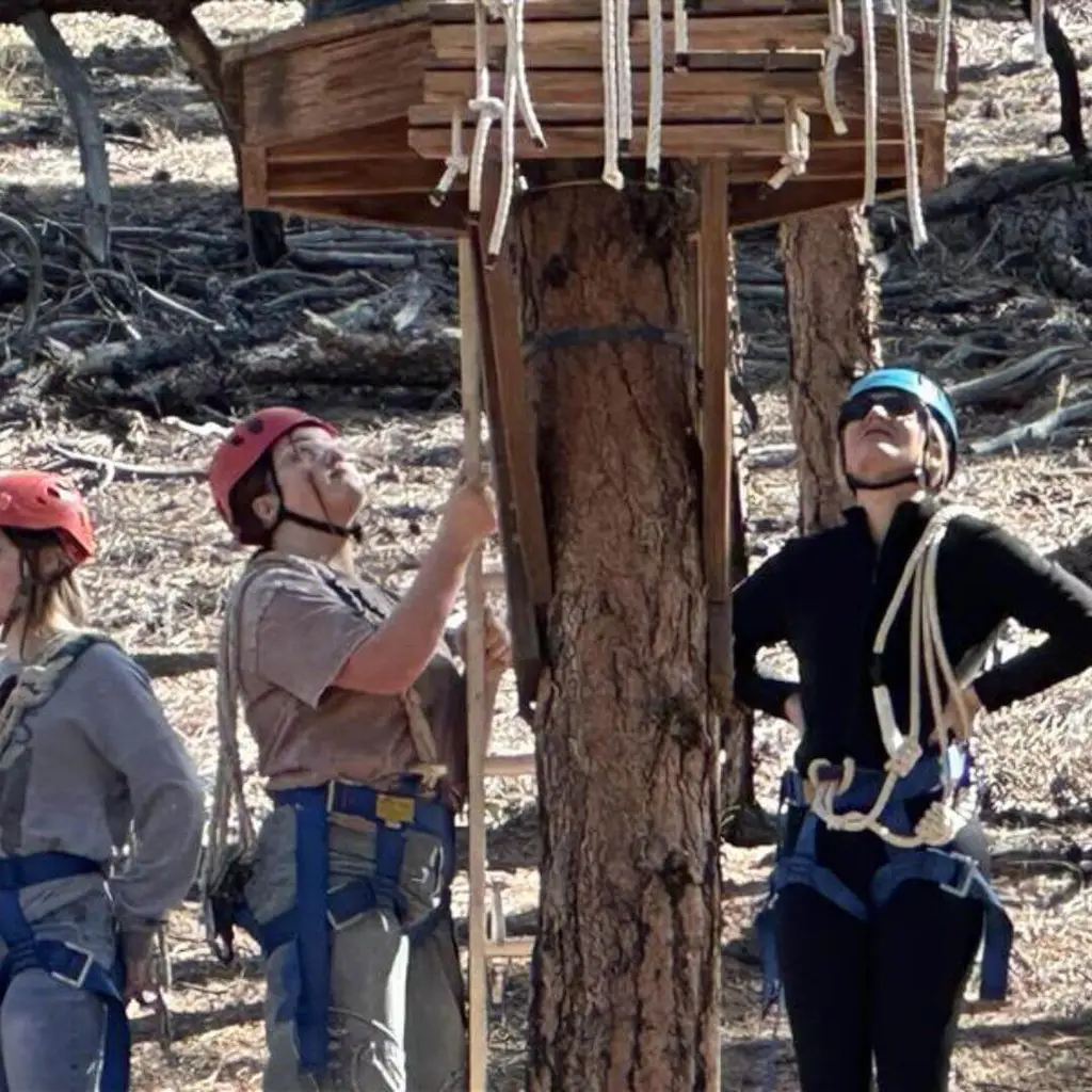 Varias personas con cascos y arneses se preparan para una actividad de circuito de cuerdas en una zona boscosa. Una persona mira hacia una plataforma de madera sujeta a un árbol.