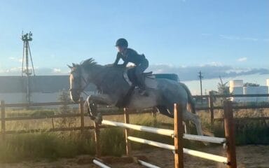 Una persona montando a caballo saltando una valla en una pista al aire libre al atardecer.