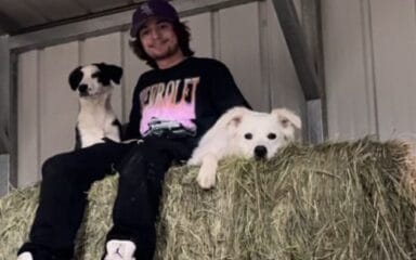 Persona sentada sobre balas de heno en un granero, con una camiseta Chevrolet, acompañada de dos perros.